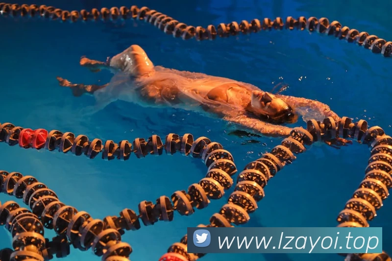 九游正版APP 封面图